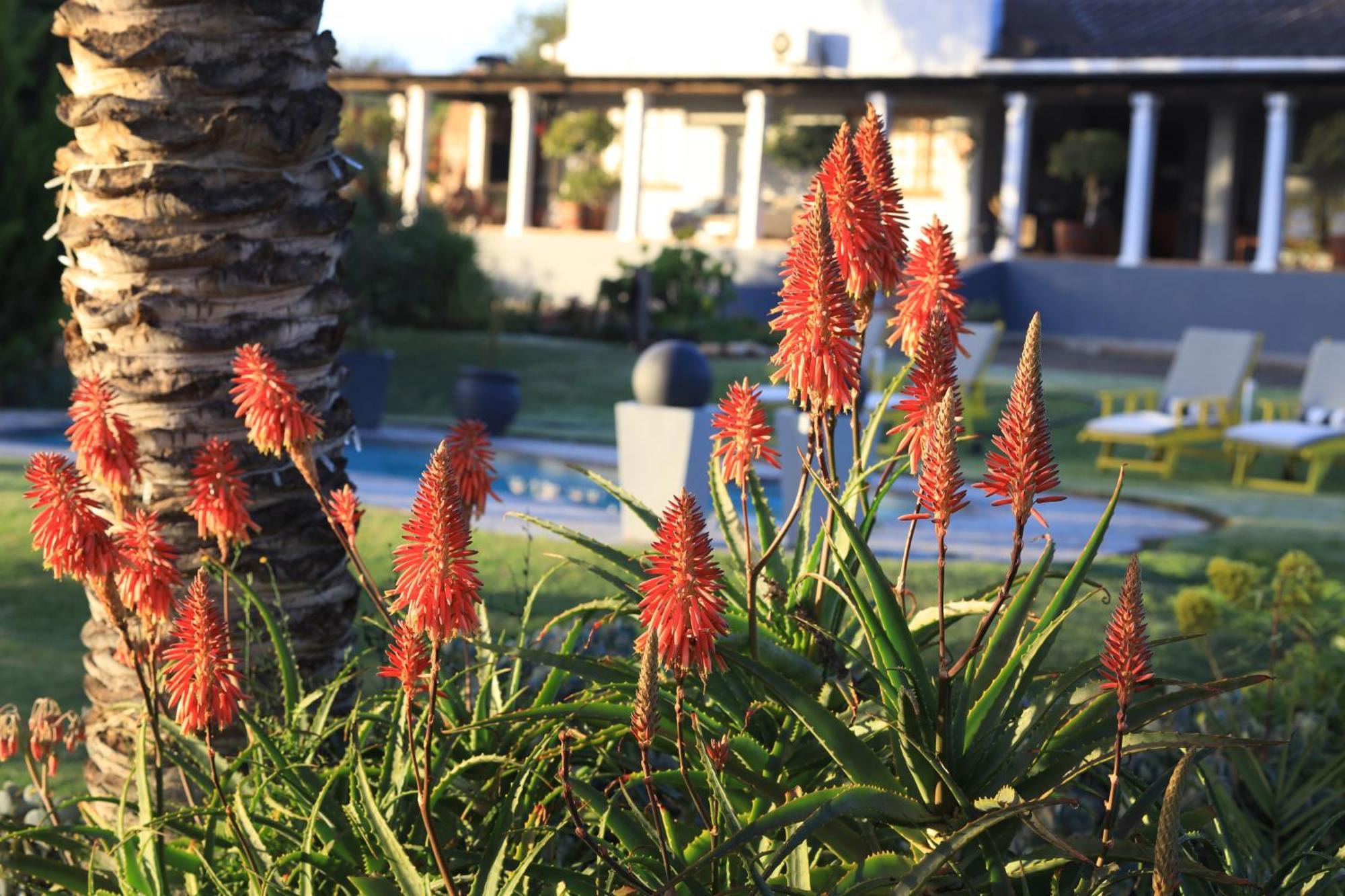 Thylitshia Villa Country Guest House Oudtshoorn Bagian luar foto