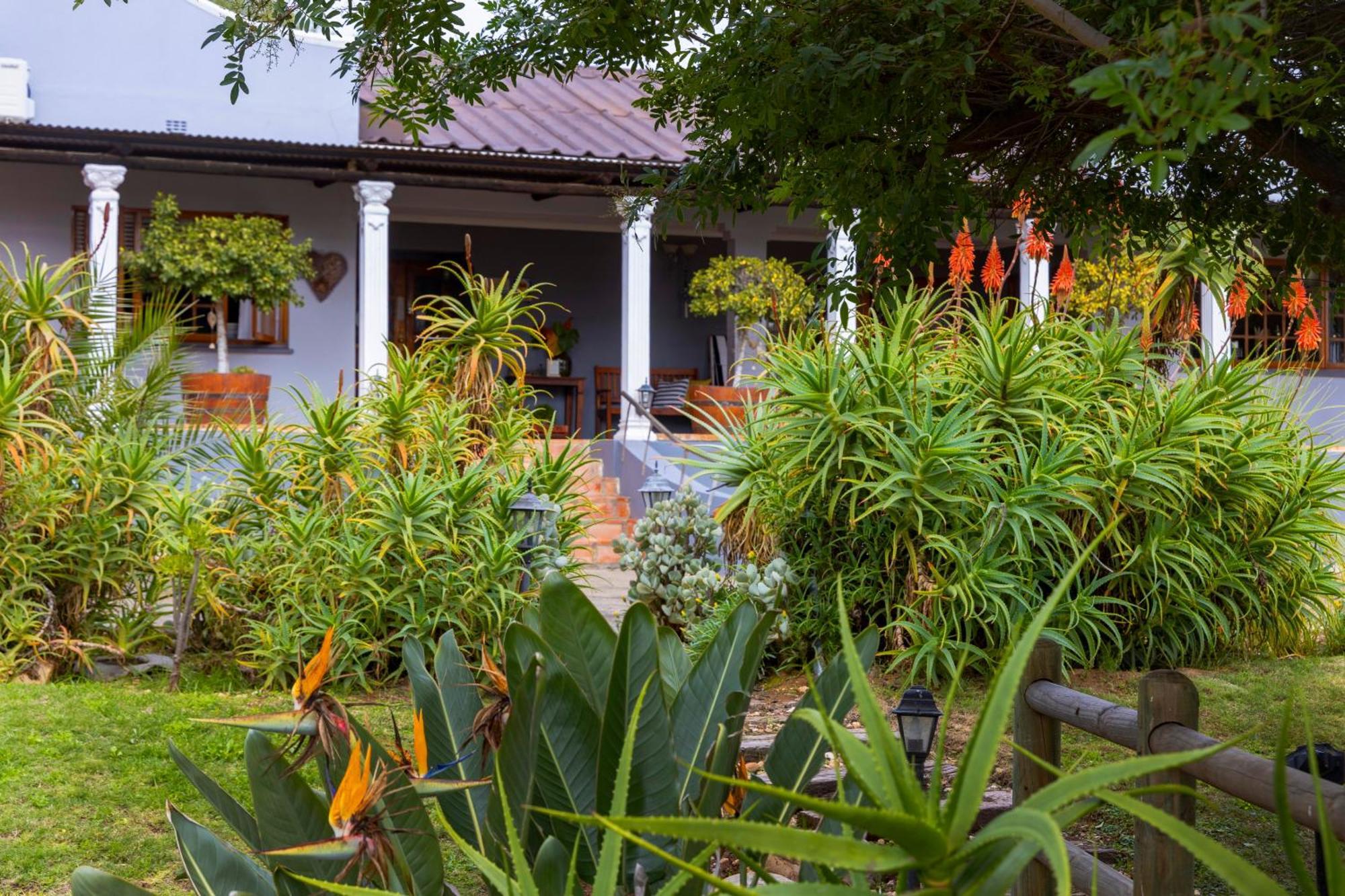 Thylitshia Villa Country Guest House Oudtshoorn Bagian luar foto