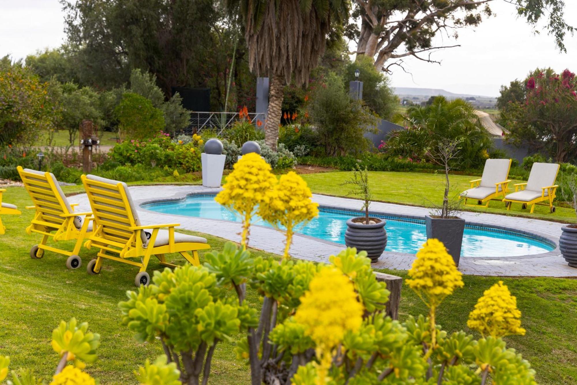 Thylitshia Villa Country Guest House Oudtshoorn Bagian luar foto