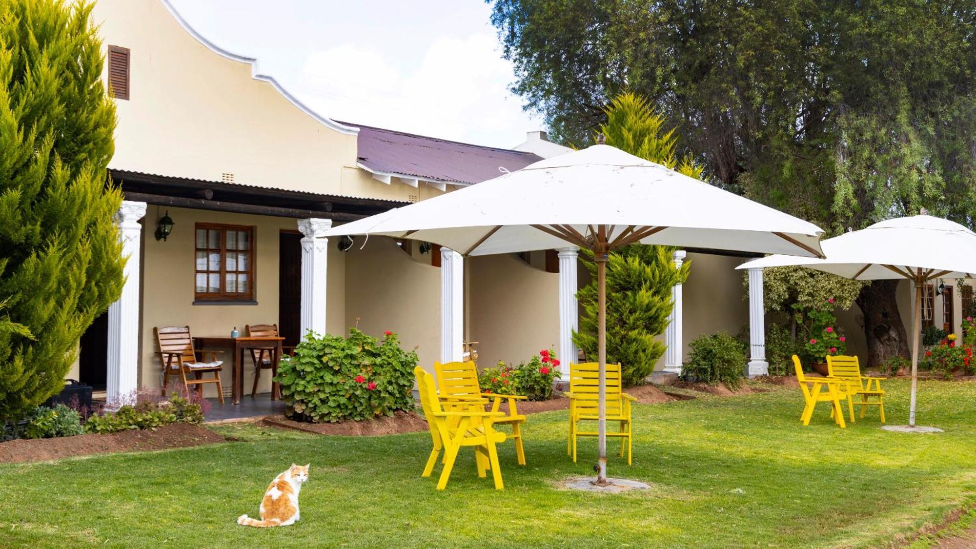 Thylitshia Villa Country Guest House Oudtshoorn Bagian luar foto