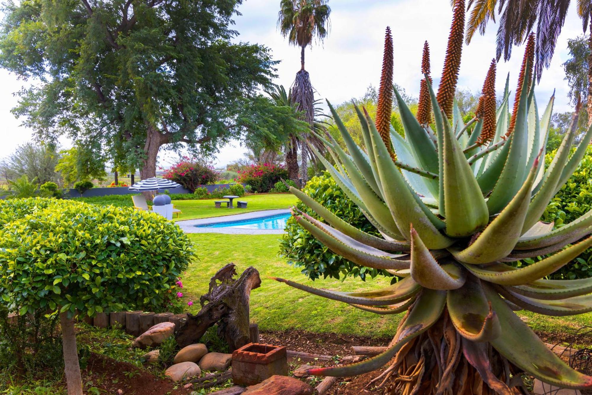 Thylitshia Villa Country Guest House Oudtshoorn Bagian luar foto