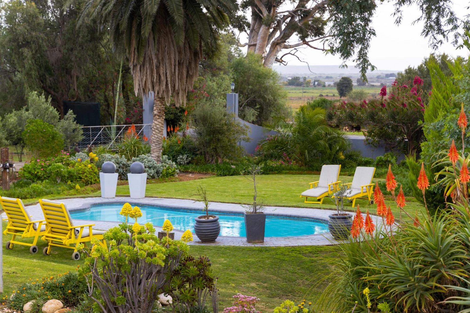 Thylitshia Villa Country Guest House Oudtshoorn Bagian luar foto
