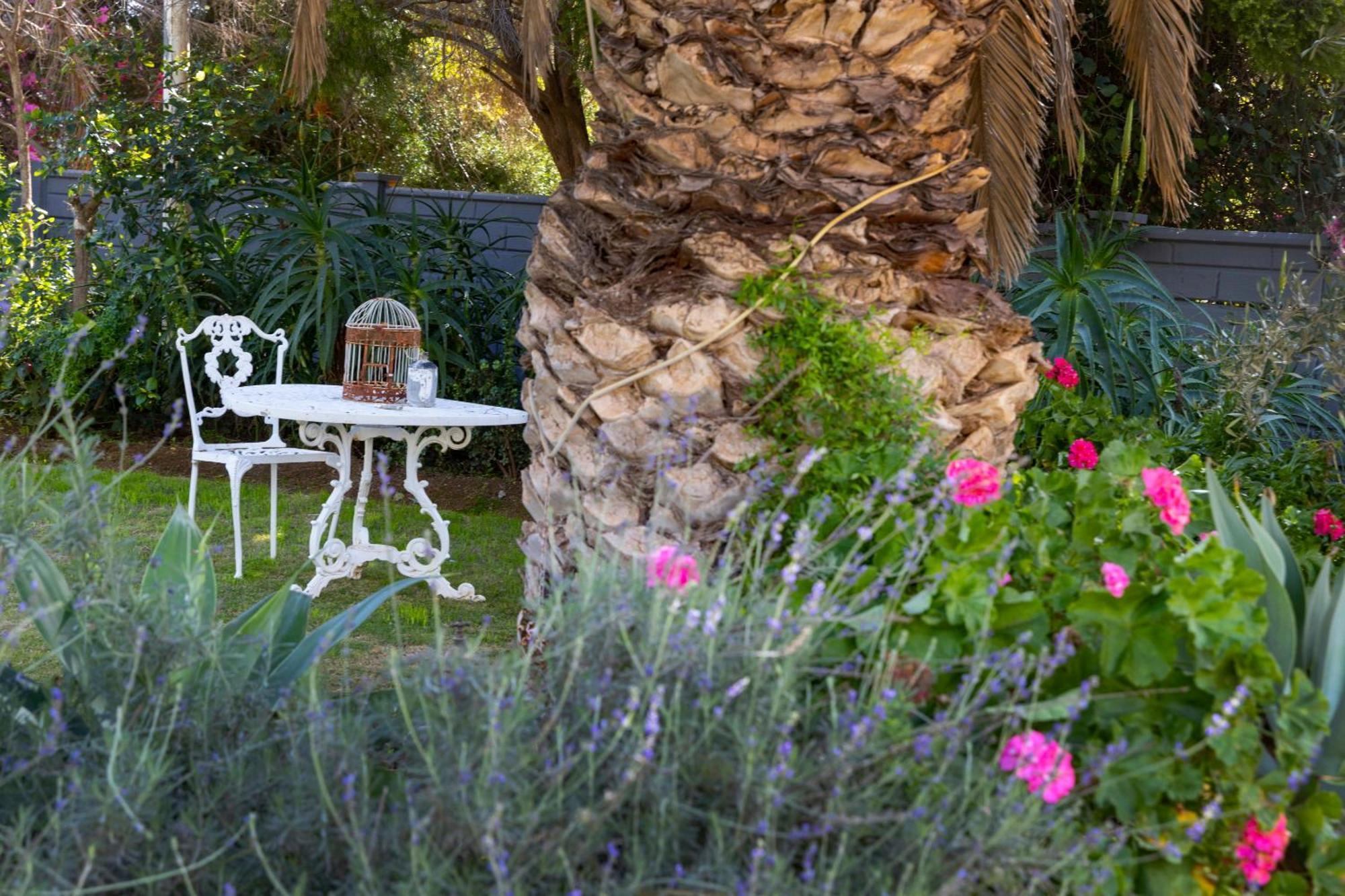 Thylitshia Villa Country Guest House Oudtshoorn Bagian luar foto