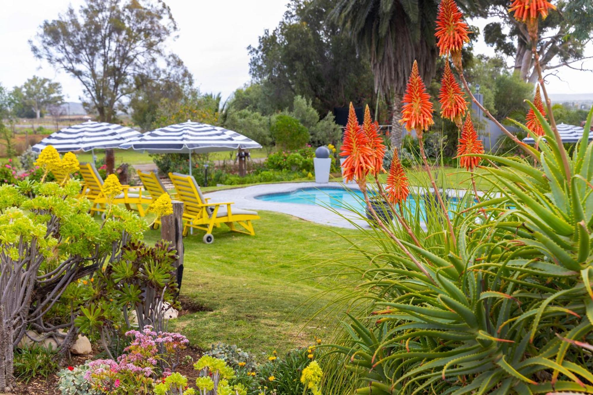 Thylitshia Villa Country Guest House Oudtshoorn Bagian luar foto