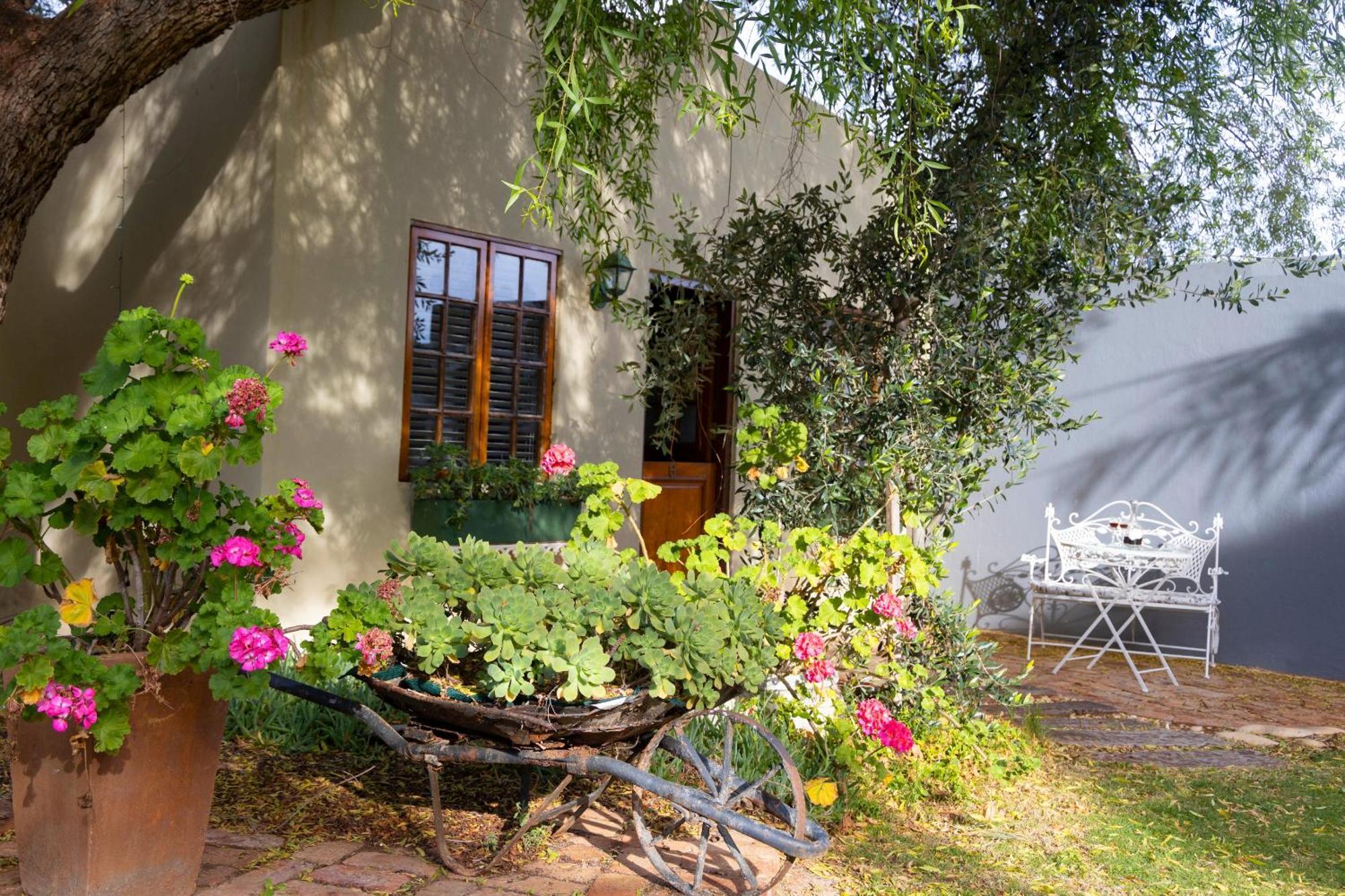 Thylitshia Villa Country Guest House Oudtshoorn Bagian luar foto